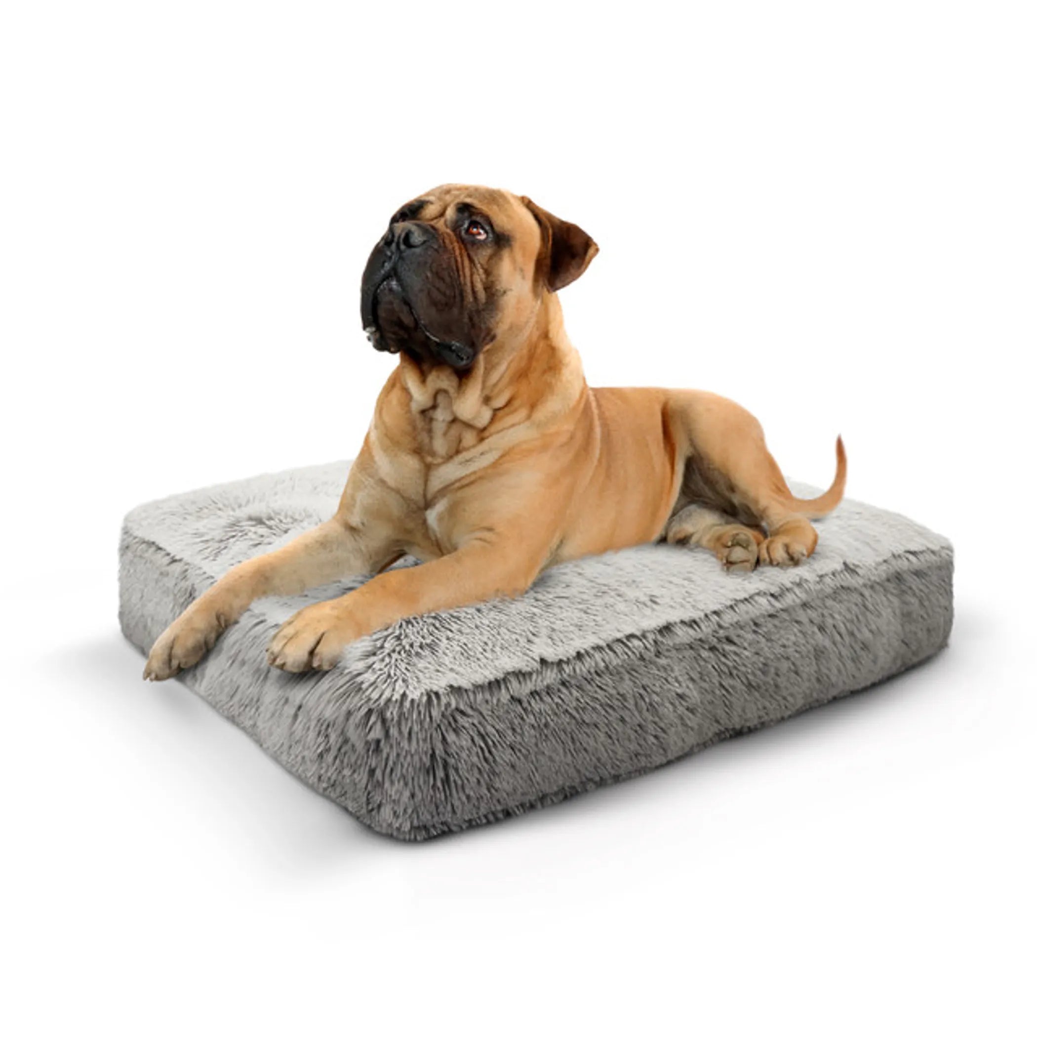Bessie and Barnie Rectangular Bed SM - Frosted Willow